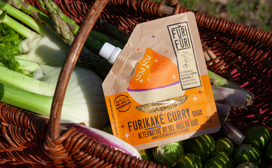 LES FURIKAKE, LES MEILLEURS ALLIÉS DES PIQUE-NIQUE