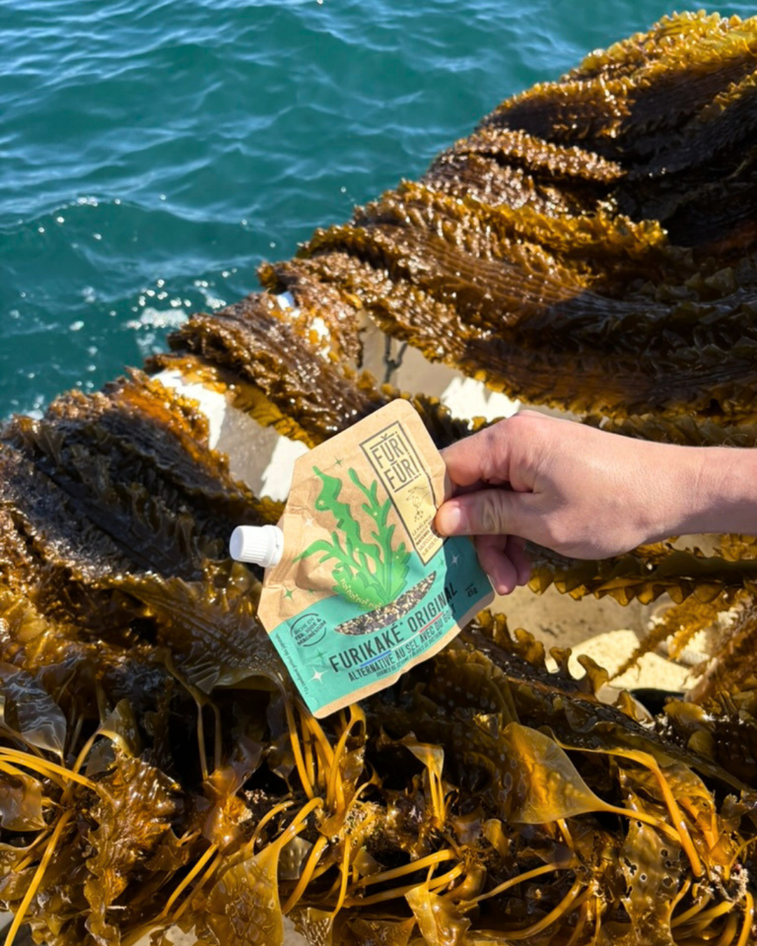 🌊 Journée mondiale de l’Océan 🌊