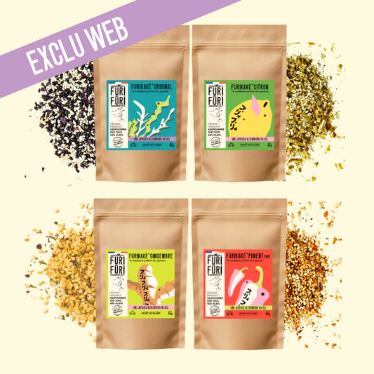 PACK 4 ECO-RECHARGES FURIKAKE - Alternative au sel - Condiment sésame & algues